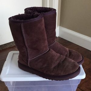 PURPLE CLASSIC SHORT UGG BOOTS